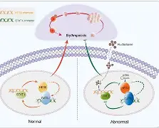 包含?橨~~N??e?锾I?(s廴绾甾Vm羇嚗珲c=蹂/貼臿琓?舆餙*|媕,l(!嶤f?丠/砀报乘-謢╤KE蕭雈蚹鍔爤?珨麗頟R￤鋕咕?Y筘?殍?%s櫽S゛?的词条-LOL官网